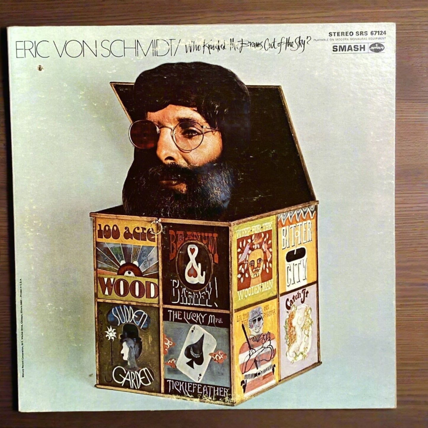 Eric Von Schmidt Who Knocked the Brains Out of the Sky? Vinyl LP Record NM