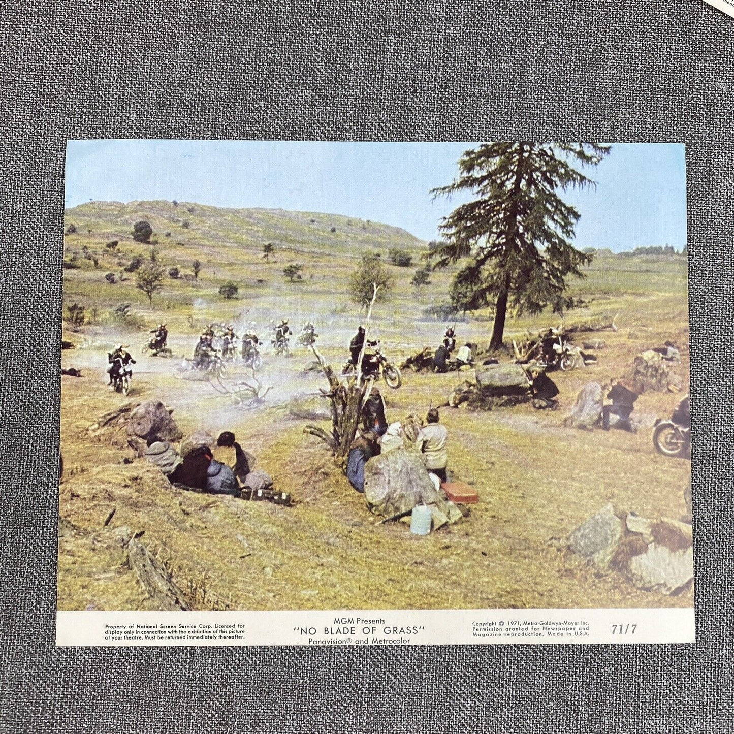No Blade of Grass 1970 Movie Photo LOT Nigel Davenport Jean Wallace John Hamill