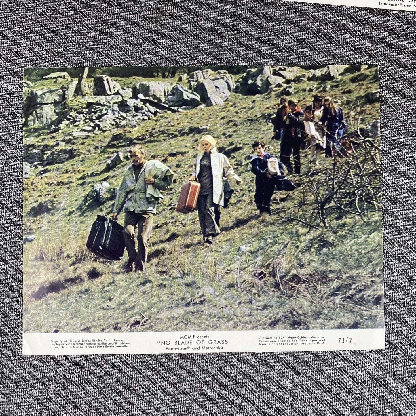 No Blade of Grass 1970 Movie Photo LOT Nigel Davenport Jean Wallace John Hamill