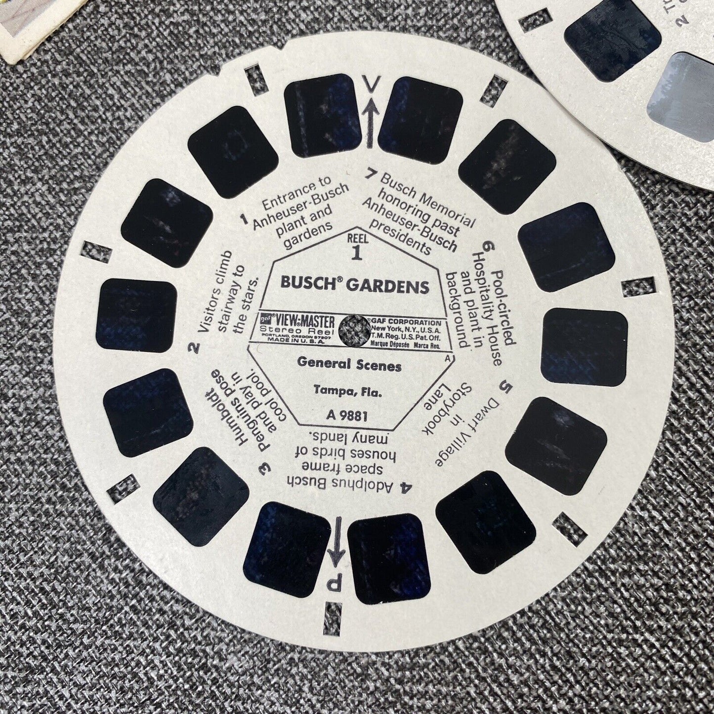 BUSCH GARDENS Zoological Park Tampa Florida 3d View-Master 3 Reel Packet