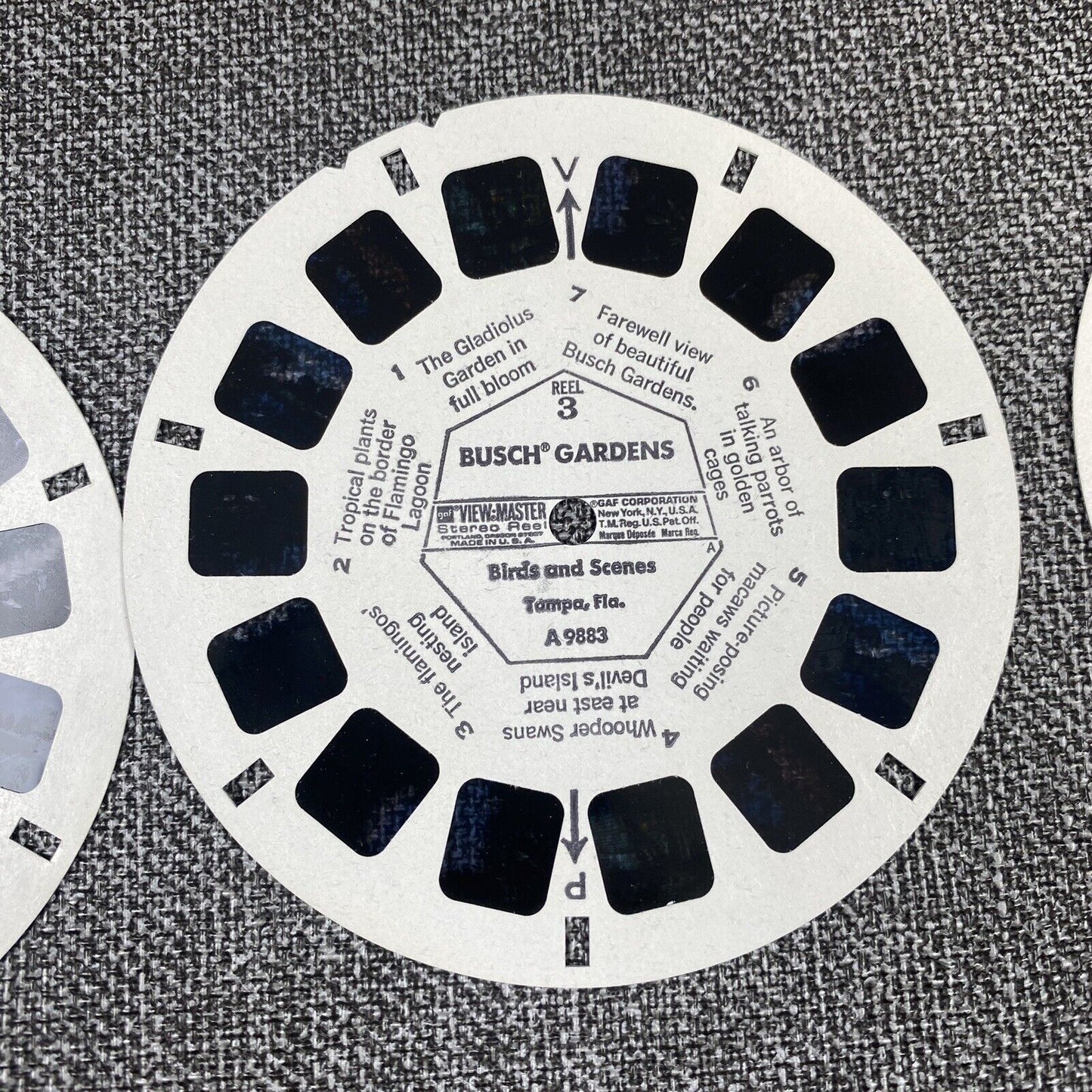 BUSCH GARDENS Zoological Park Tampa Florida 3d View-Master 3 Reel Packet
