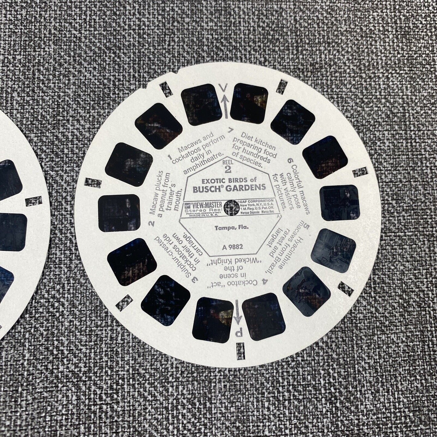 BUSCH GARDENS Zoological Park Tampa Florida 3d View-Master 3 Reel Packet