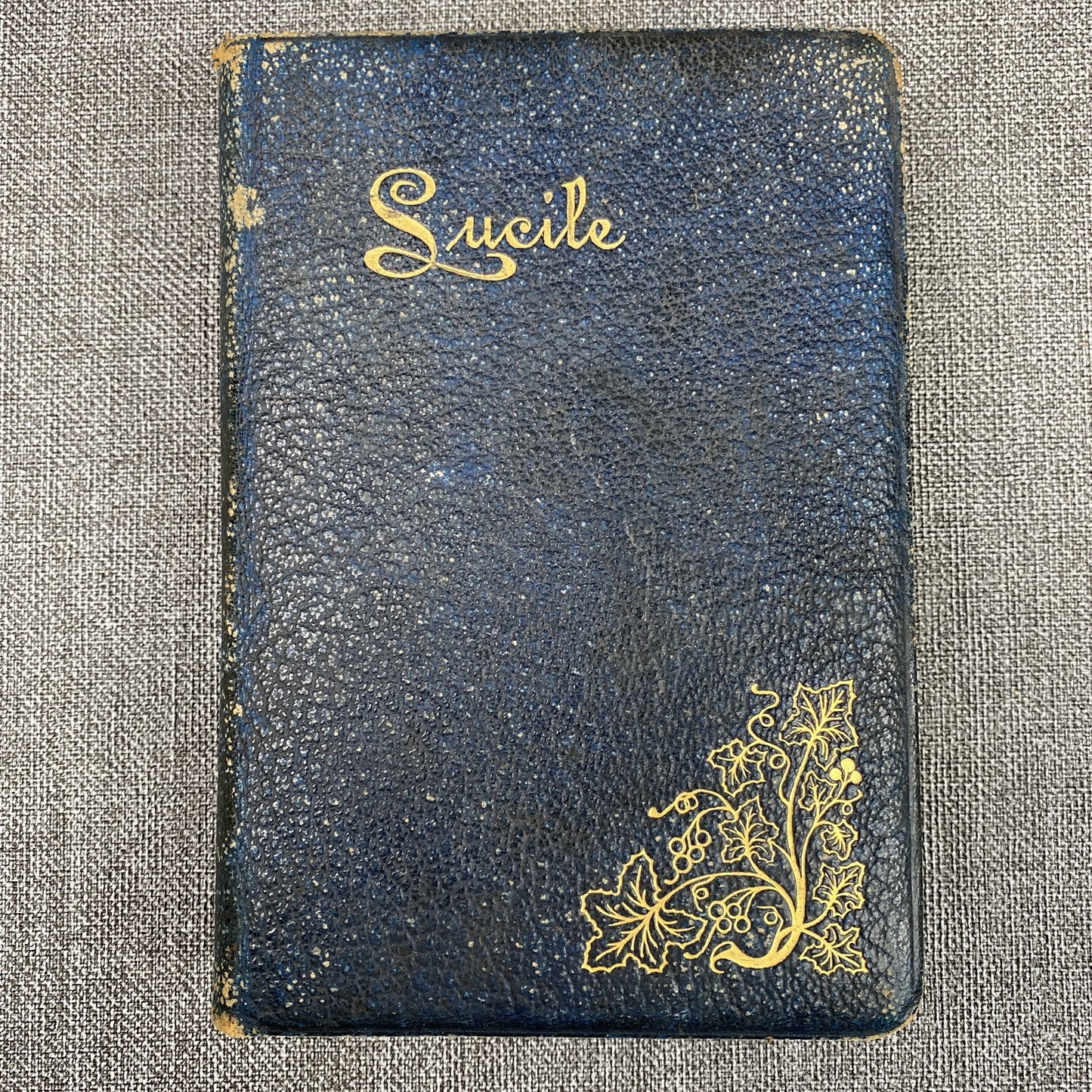 LUCILE by Owen Meredith published by Thomas Y. Crowell & Co 1902-1905