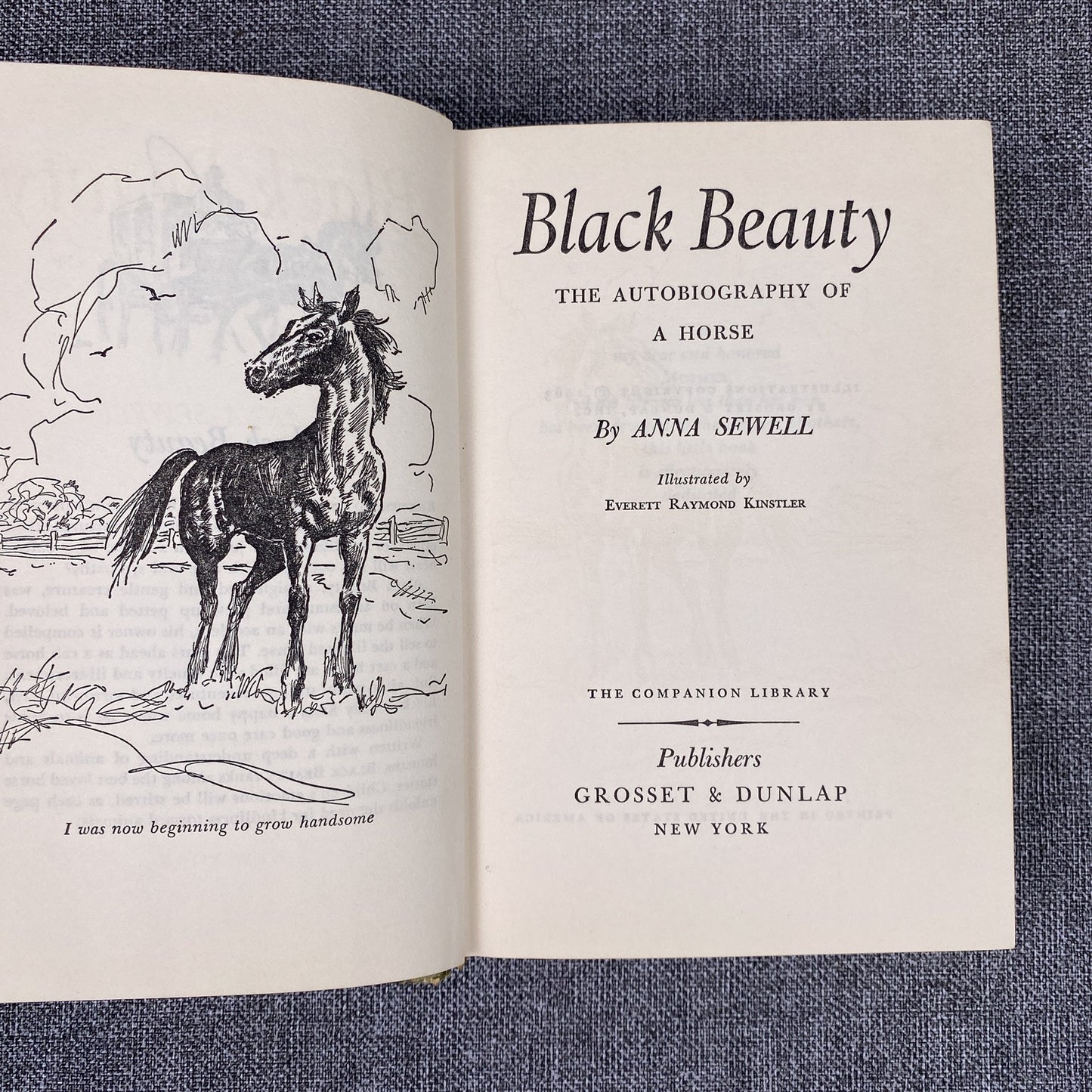 Companion Library Black Beauty by Sewell / The Call of the Wild by London 1963