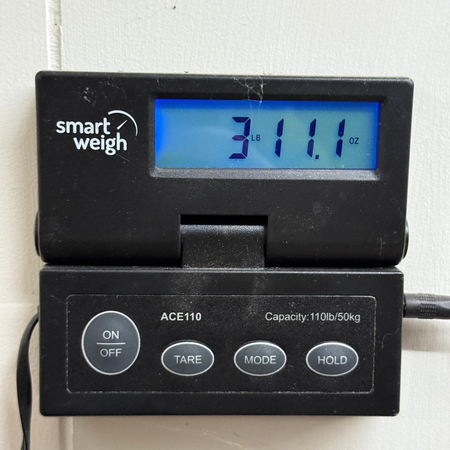 Stag Horn Three Handle Trophy Vessel/ Champagne Ice Bucket