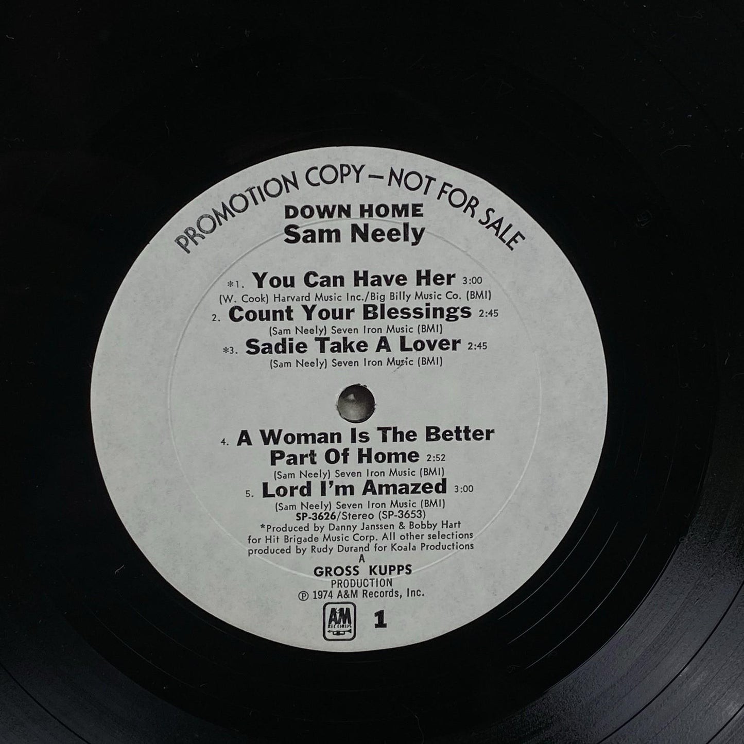 SAM NEELY Down Home Promotional LP Vinyl Record 1974