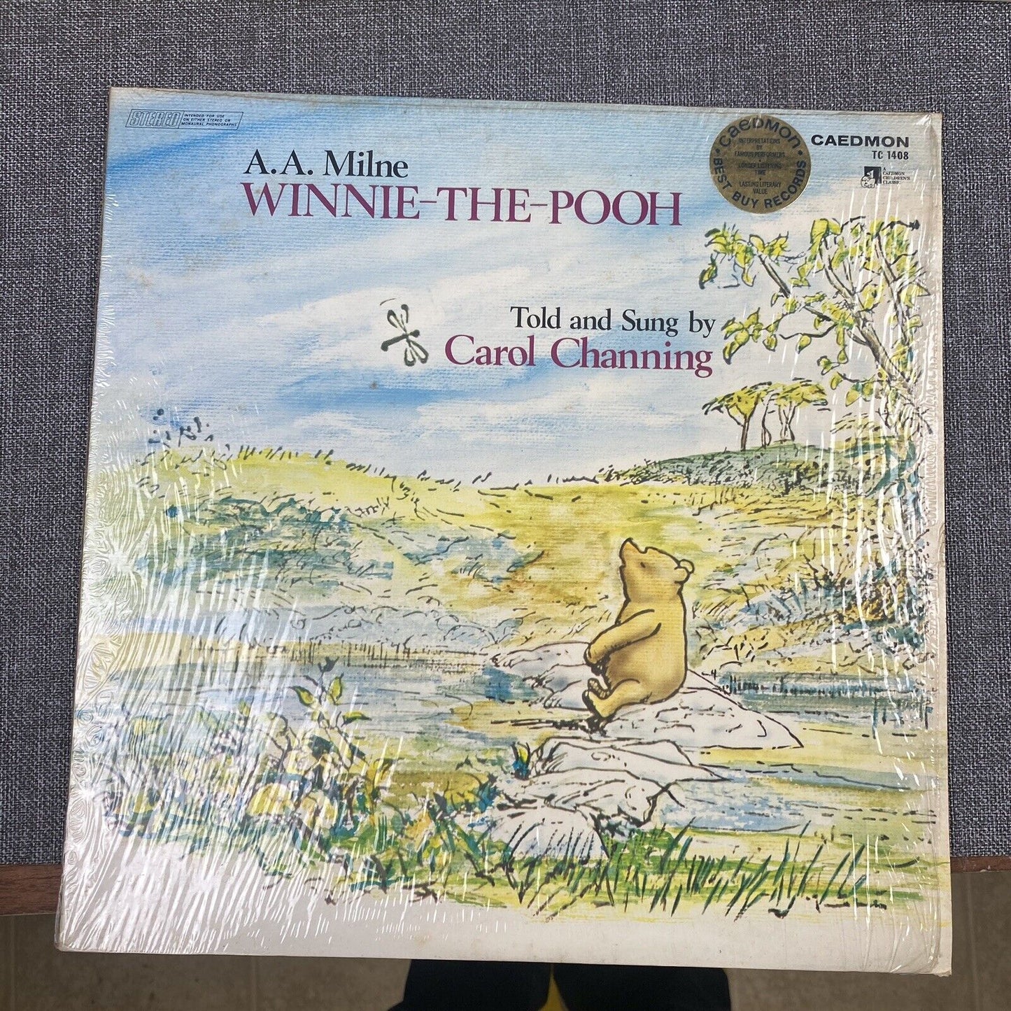 Lot of 10 Vintage Scholastic & Disney Vinyl Records for Children