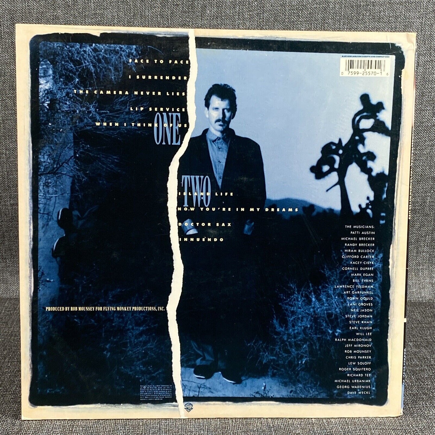 Michael Franks The Camera Never Lies , Promotional Vinyl Record 1987