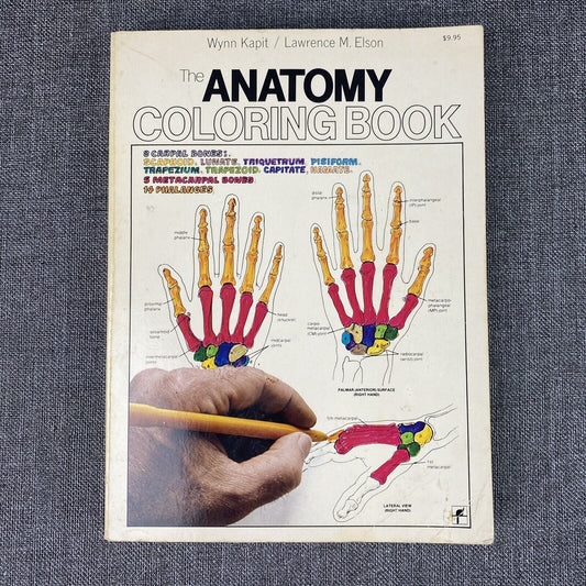 The Anatomy : Coloring Book by Lawrence M. Elson and Wynn Kapit 1997