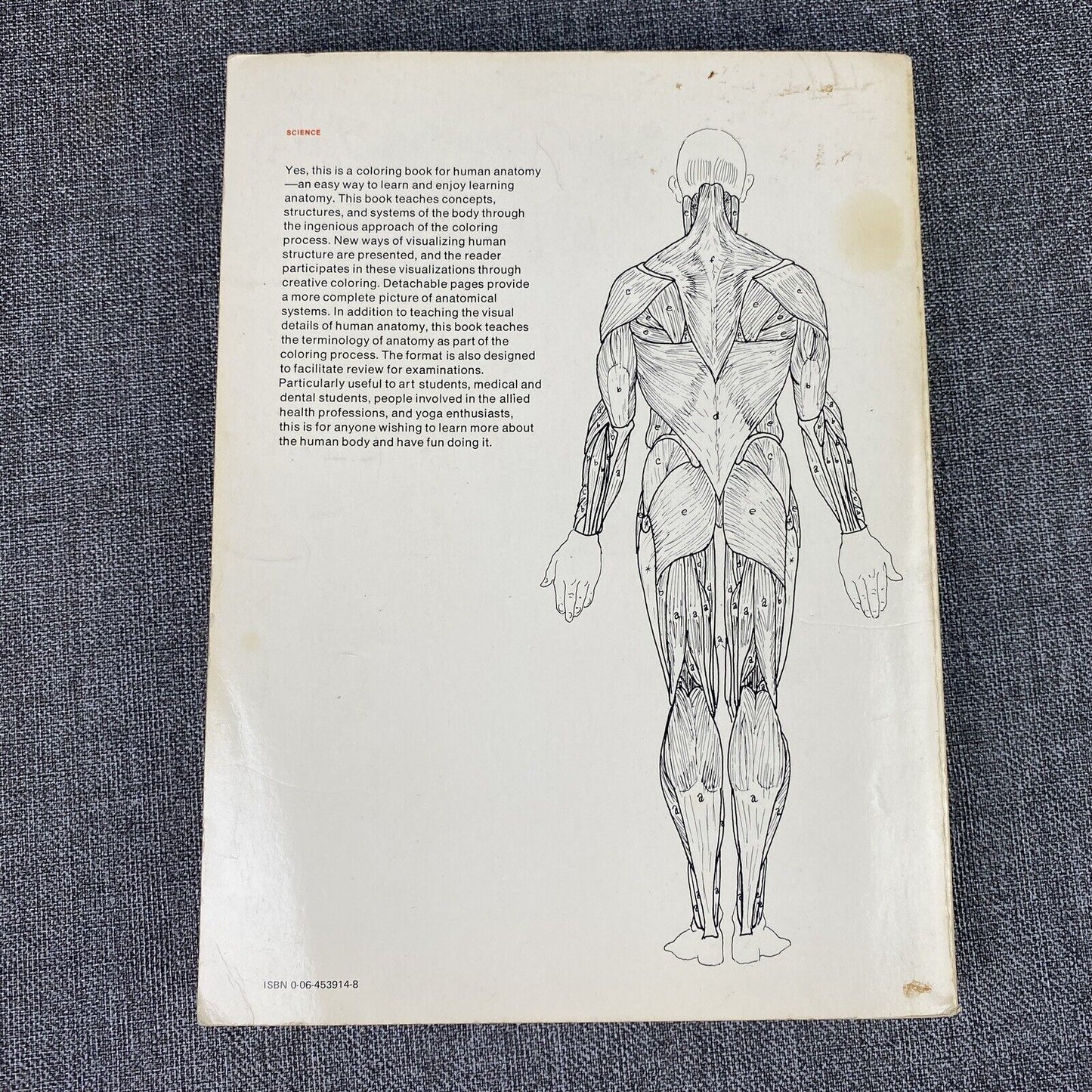 The Anatomy : Coloring Book by Lawrence M. Elson and Wynn Kapit 1997