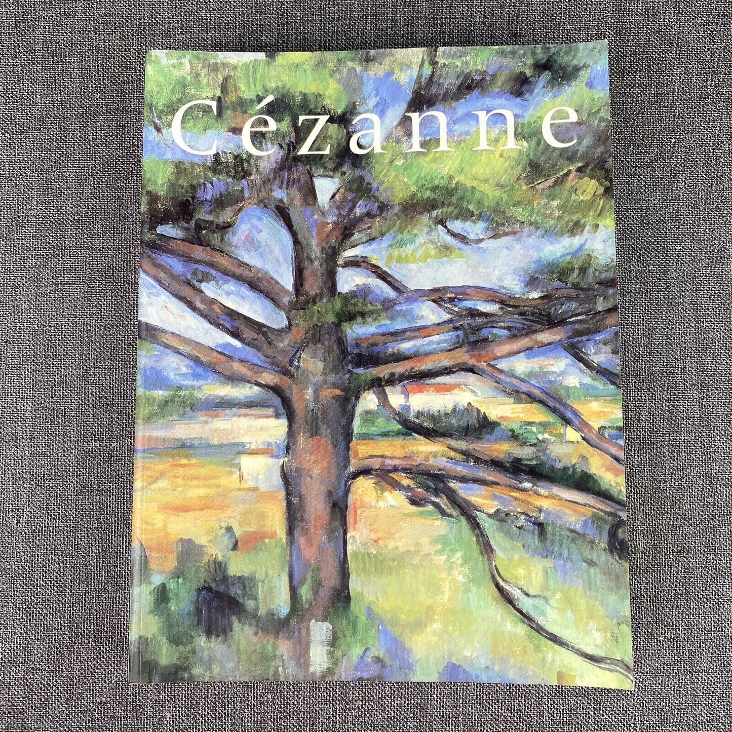 Philadelphia Museum of Art : Cezanne Handbook of the Collections Paperback 1996