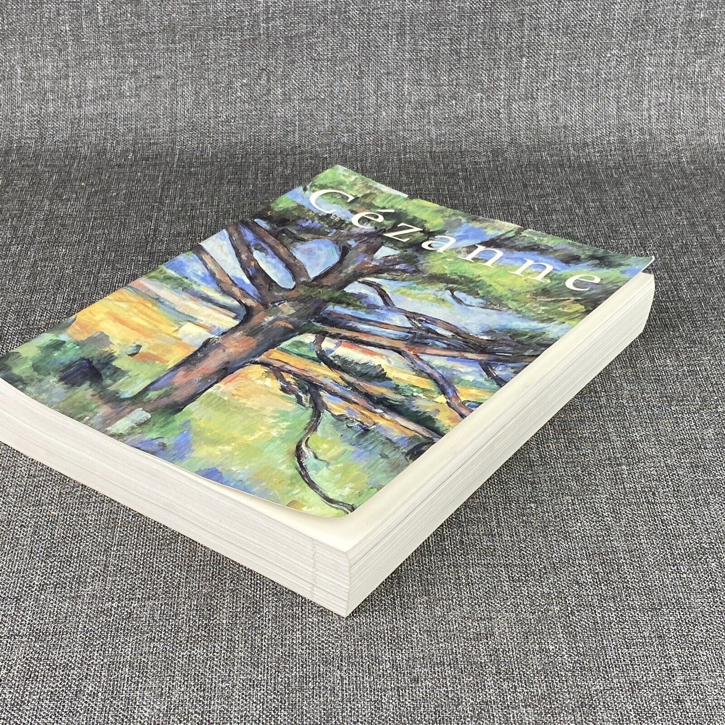 Philadelphia Museum of Art : Cezanne Handbook of the Collections Paperback 1996