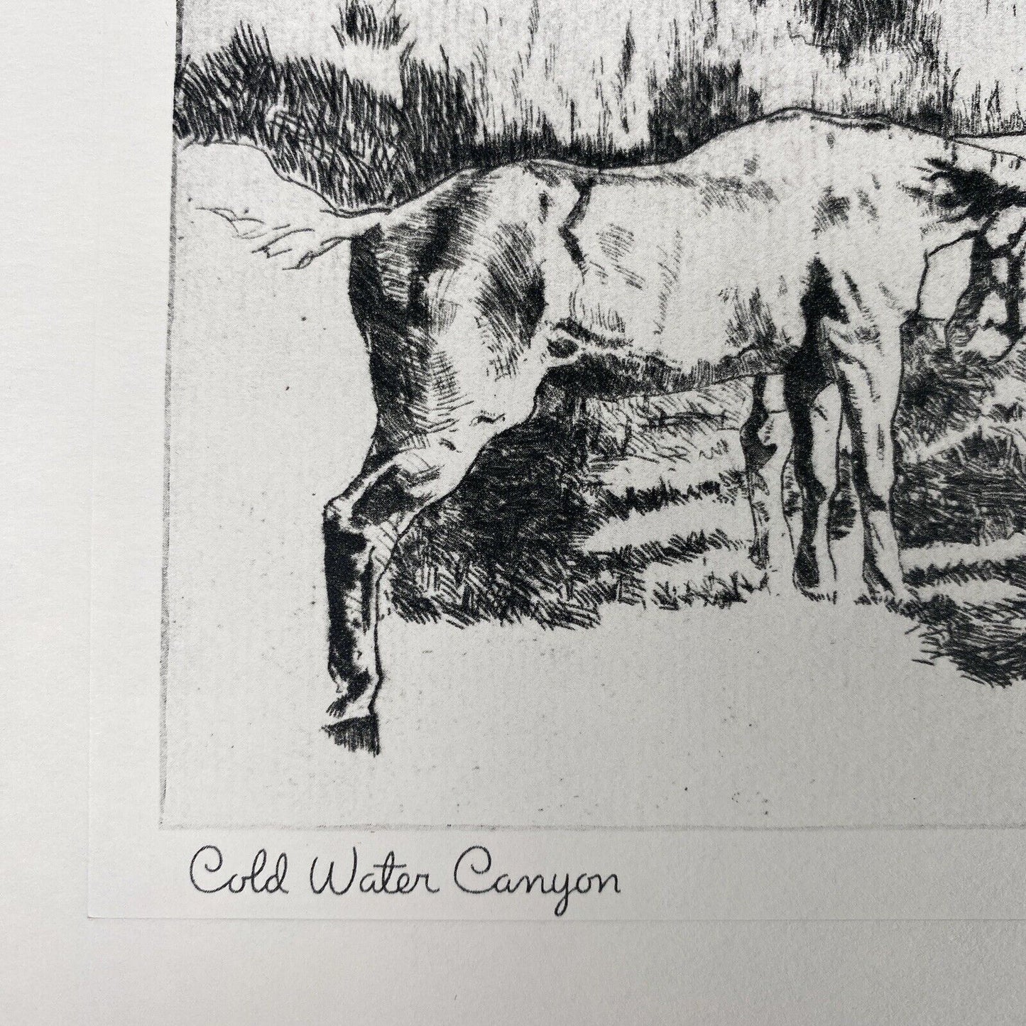 Vintage Lionel Barrymore Talio-Chrome Etching 'Cold Water Canyon' Western