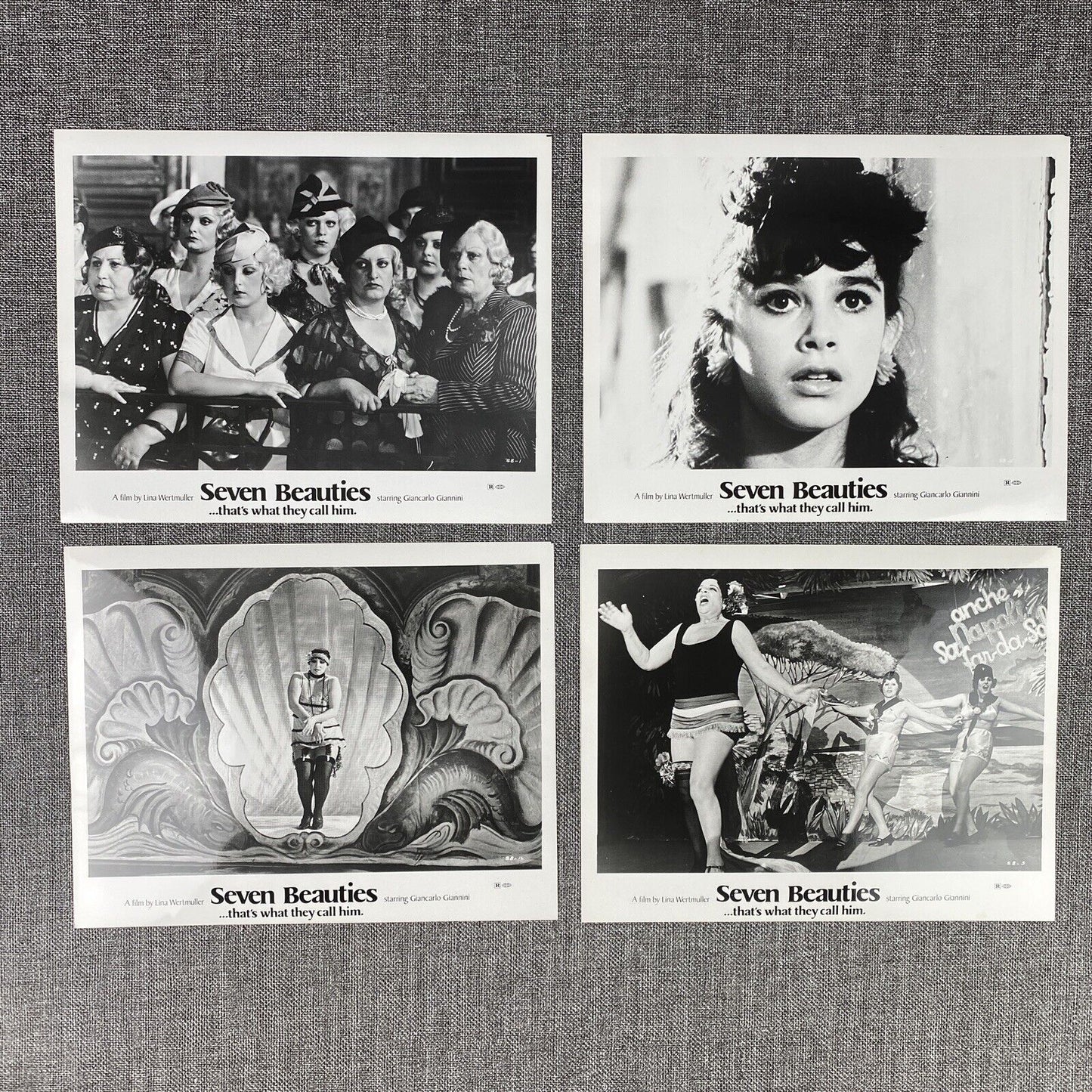 Seven Beauties Movie Photo Still LOT A Salute to Woman Directors Lina Wertmuller