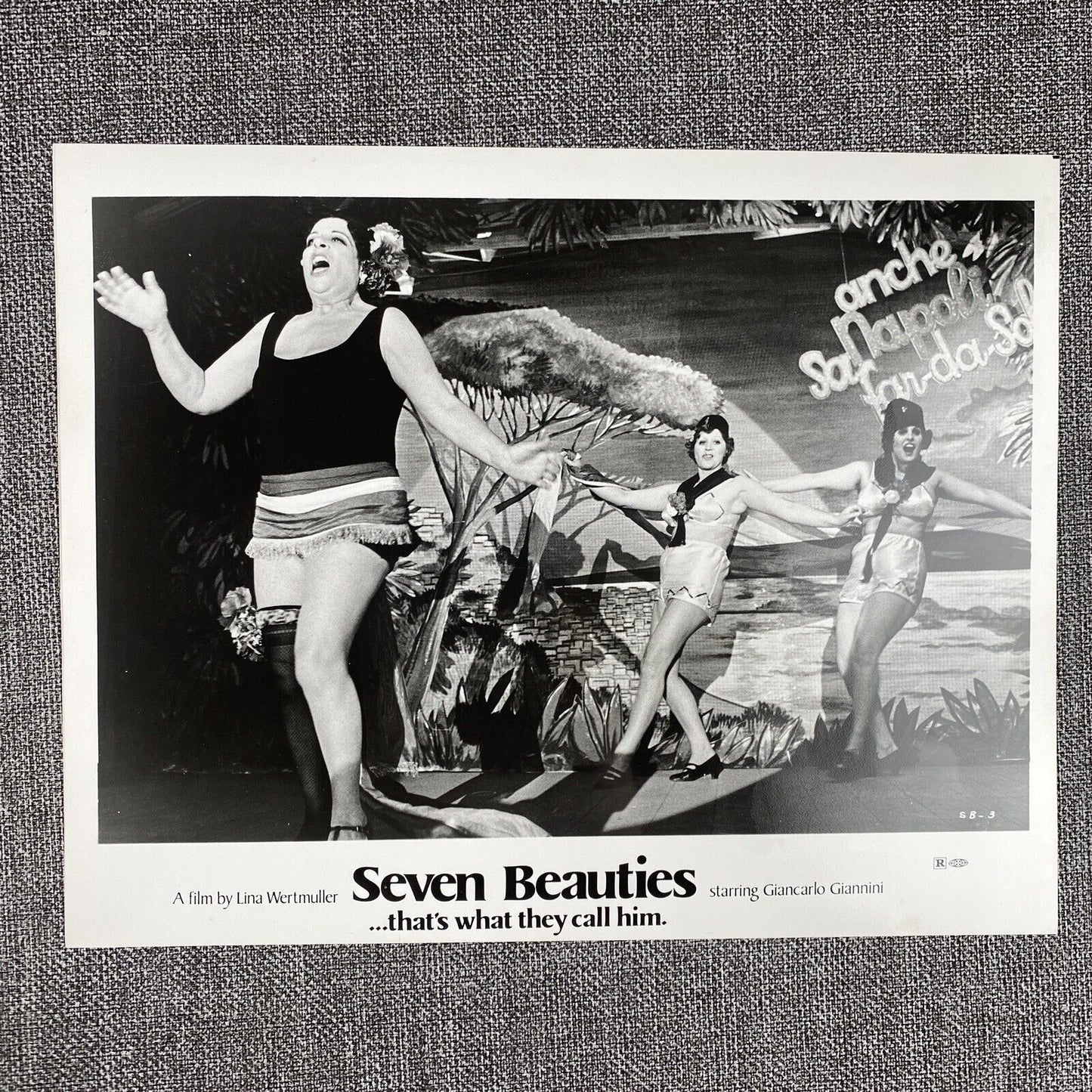 Seven Beauties Movie Photo Still LOT A Salute to Woman Directors Lina Wertmuller