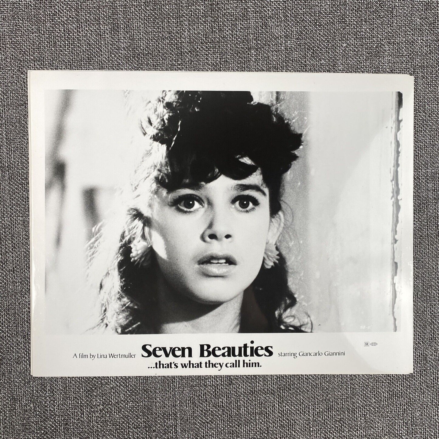 Seven Beauties Movie Photo Still LOT A Salute to Woman Directors Lina Wertmuller