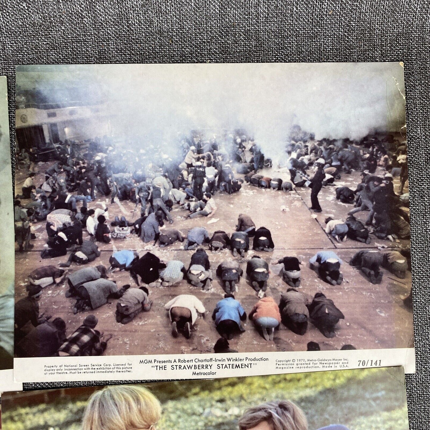 The Strawberry Statement 1970 Movie Photo LOT Bruce Davison Kim Darby Bud Cort