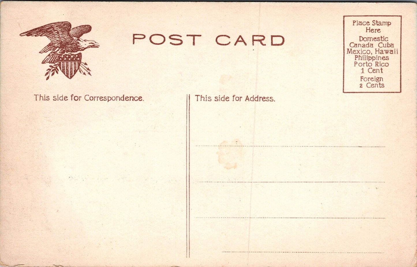 State Capitol, St Paul Minnesota Antique Postcard (Unstamped)
