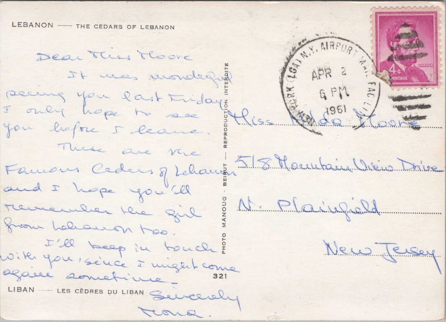 Vintage 1963 Postcard - The Cedars of Lebanon RPPC