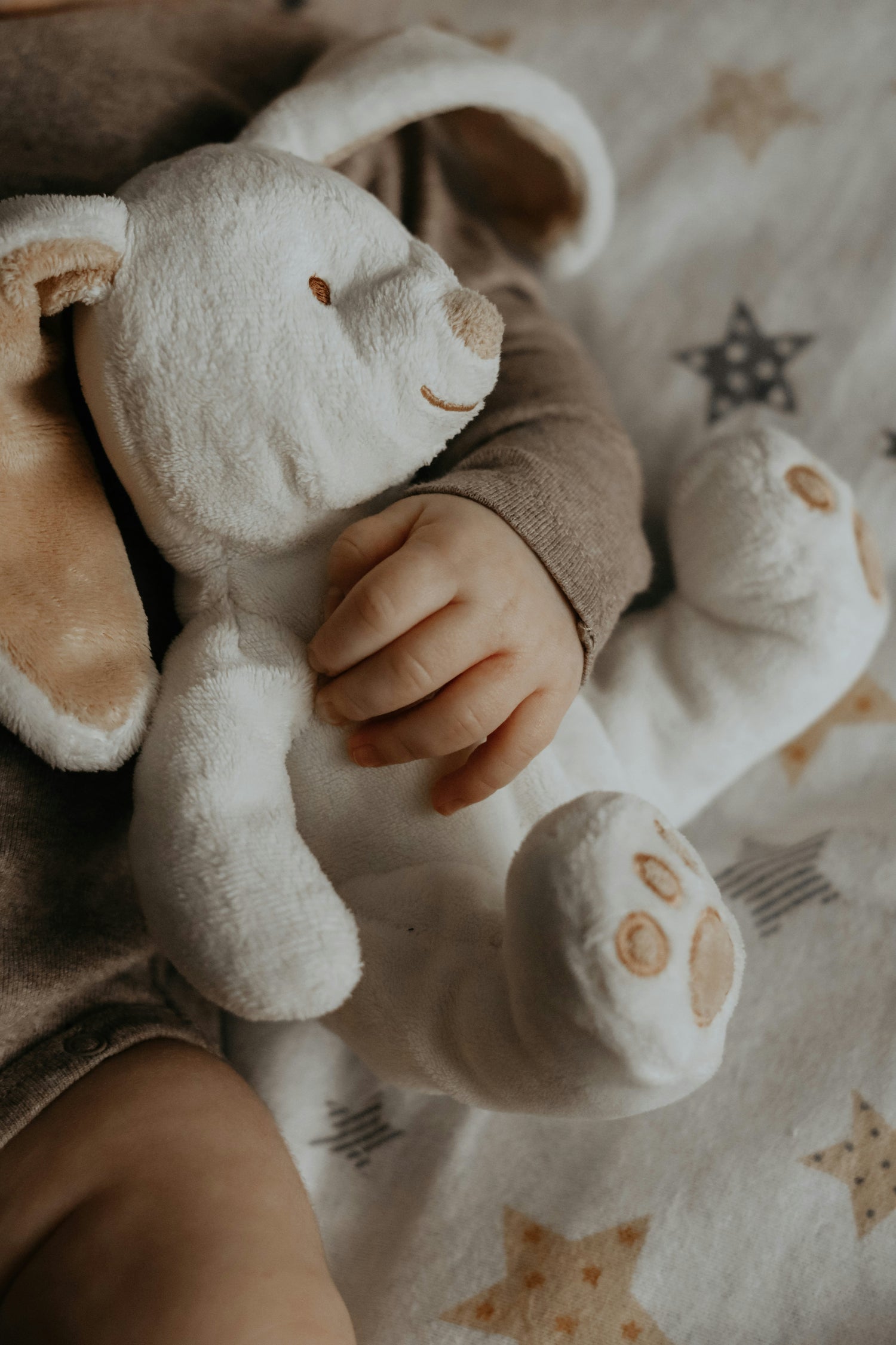 Plush Stuffed Animals