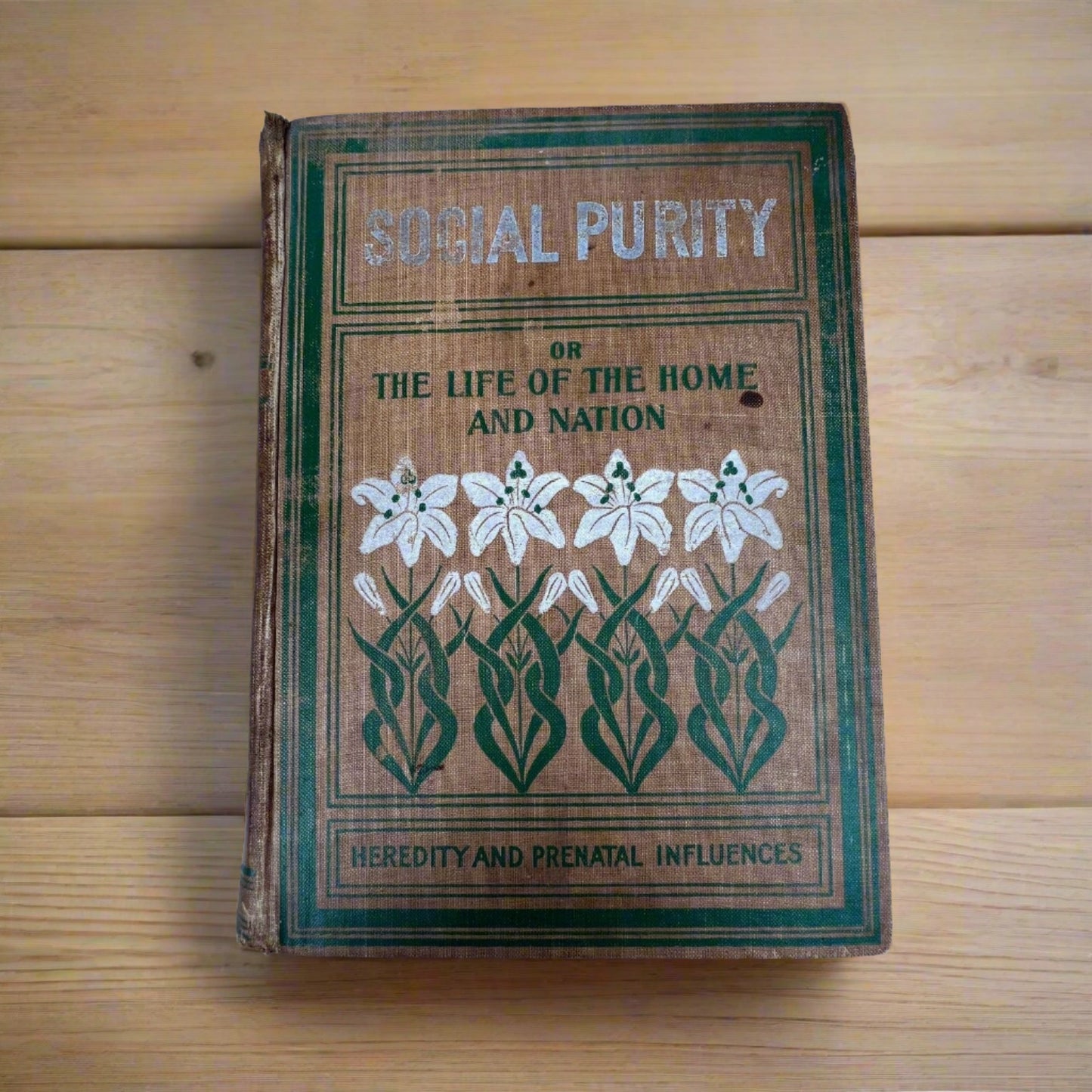 Social Purity Or the Life of the Home & Nation 1908 Hardback