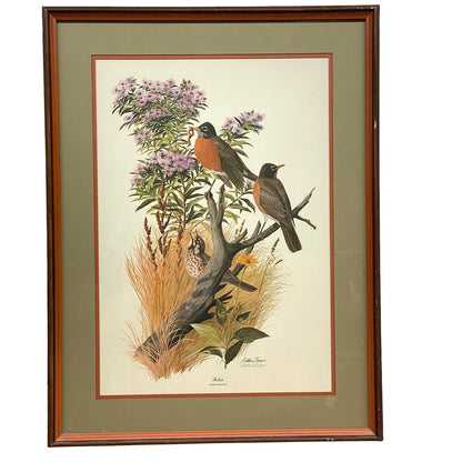 Vintage Arthur Singer Rare Signed Print Robin 1974, Size: 28"x 21.5"