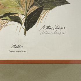 Vintage Arthur Singer Rare Signed Print Robin 1974, Size: 28"x 21.5"