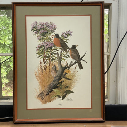 Vintage Arthur Singer Rare Signed Print Robin 1974, Size: 28"x 21.5"