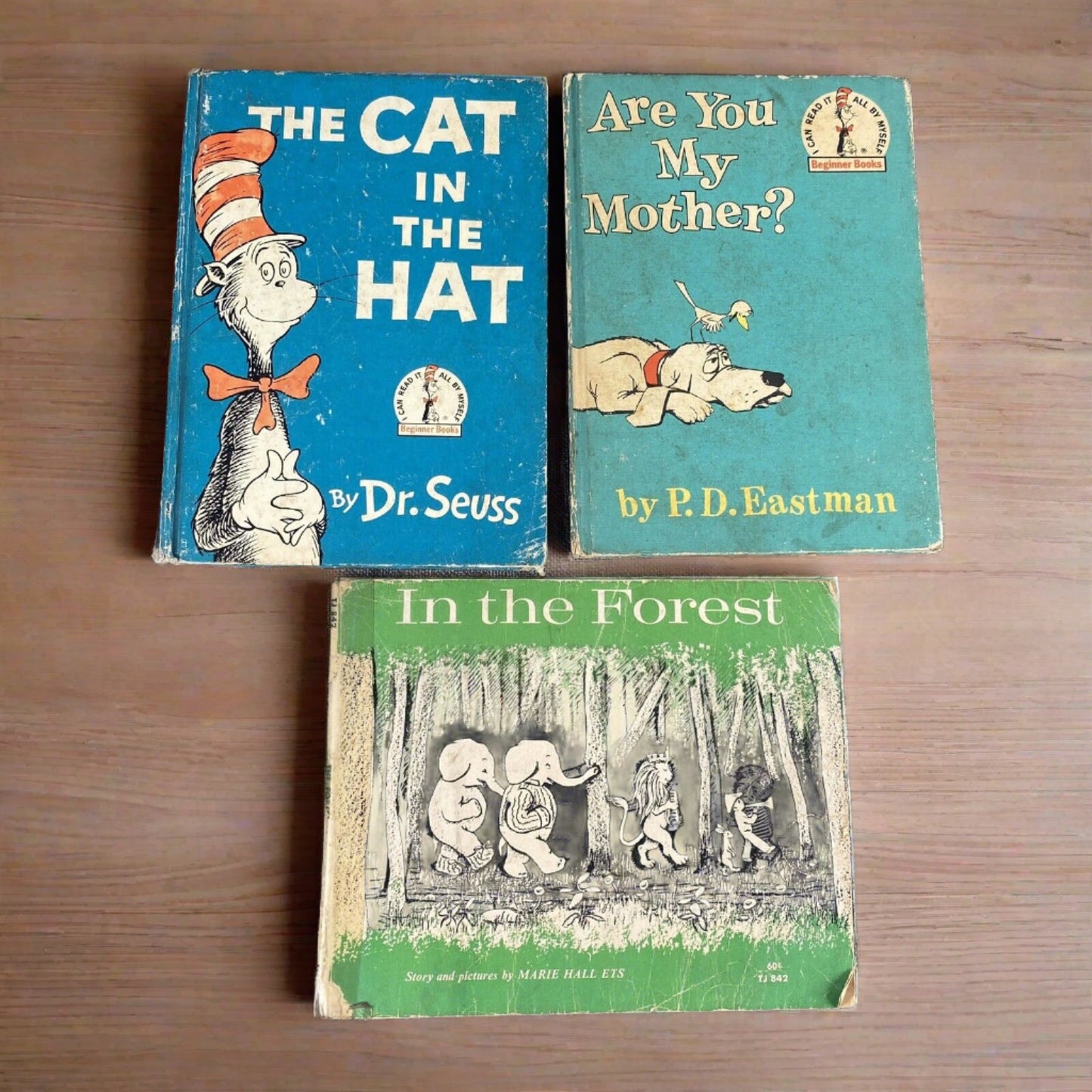 Lot of 3 Children's Books Cat in the Hat, Are you My Mother? , In the Forest