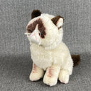 Grumpy Cat Plush Toy Grumpy Cat Meme Plush