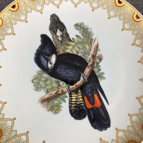 Heinrich Villeroy & Boch Great-Billed Black Cockatoo Plate 10" West Germany Bird