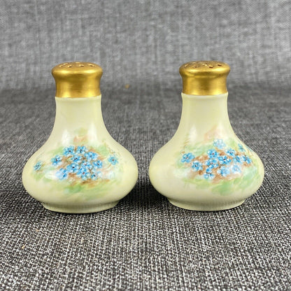 Antique SIGNED Bavaria Salt and Pepper Shaker Hand Painted