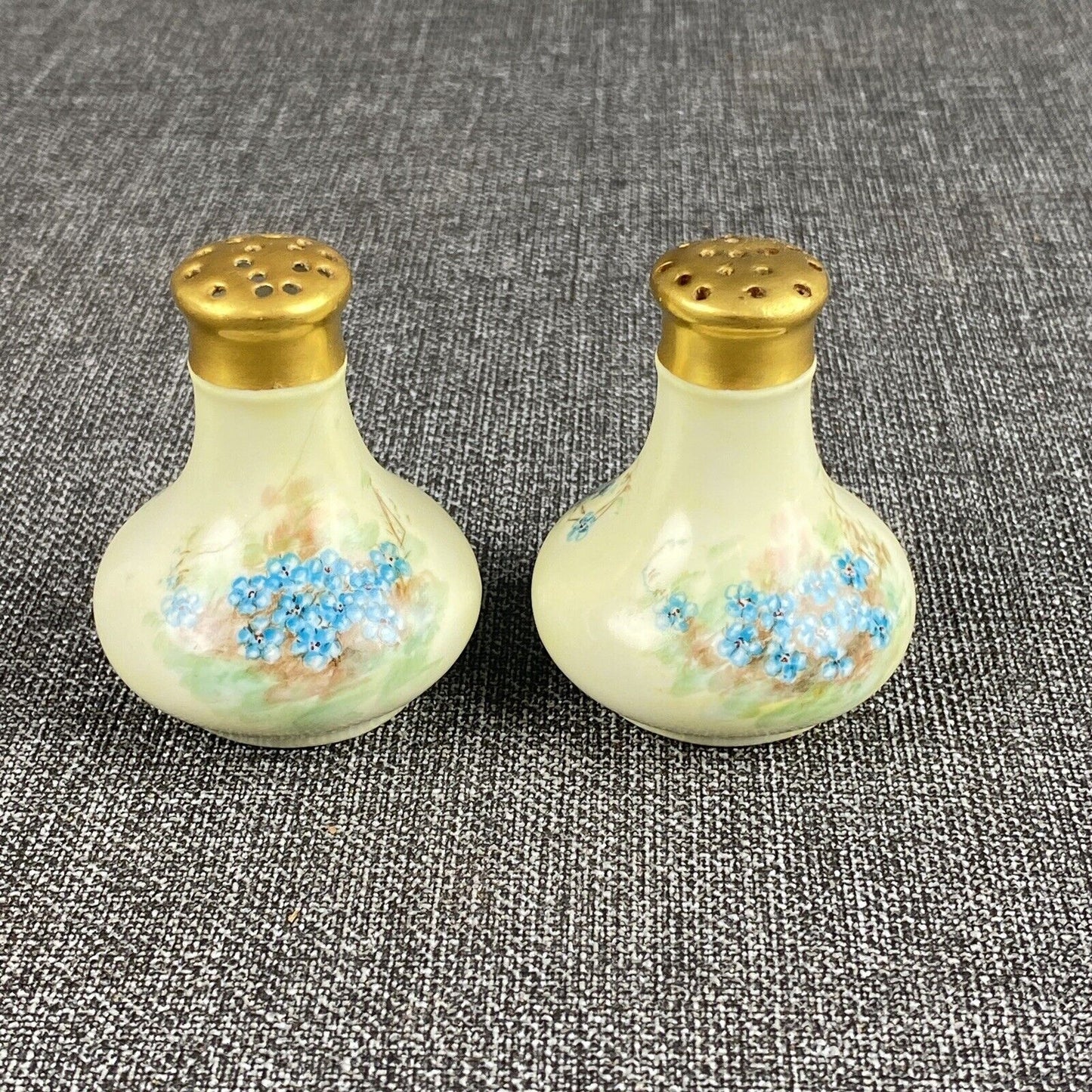 Antique SIGNED Bavaria Salt and Pepper Shaker Hand Painted