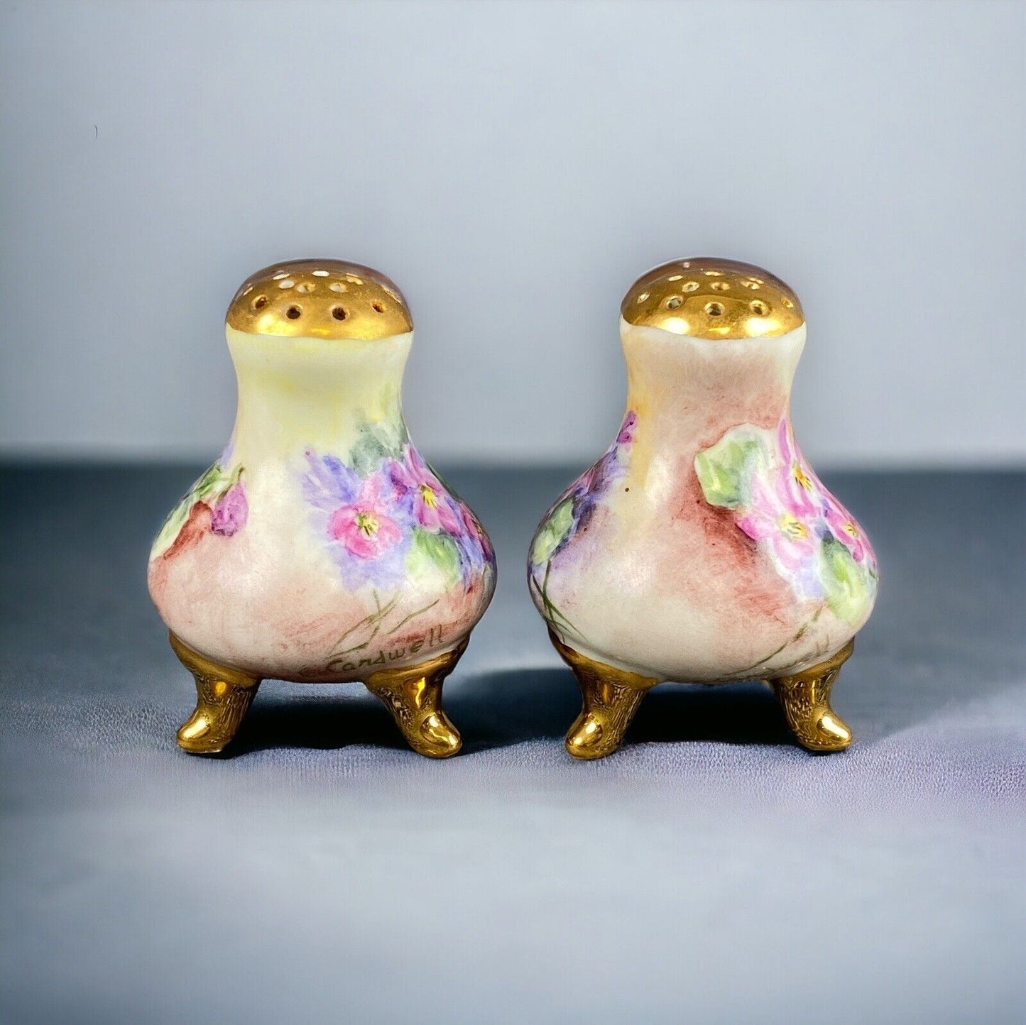 Antique SIGNED Salt Pepper Shaker Hand Painted Floral