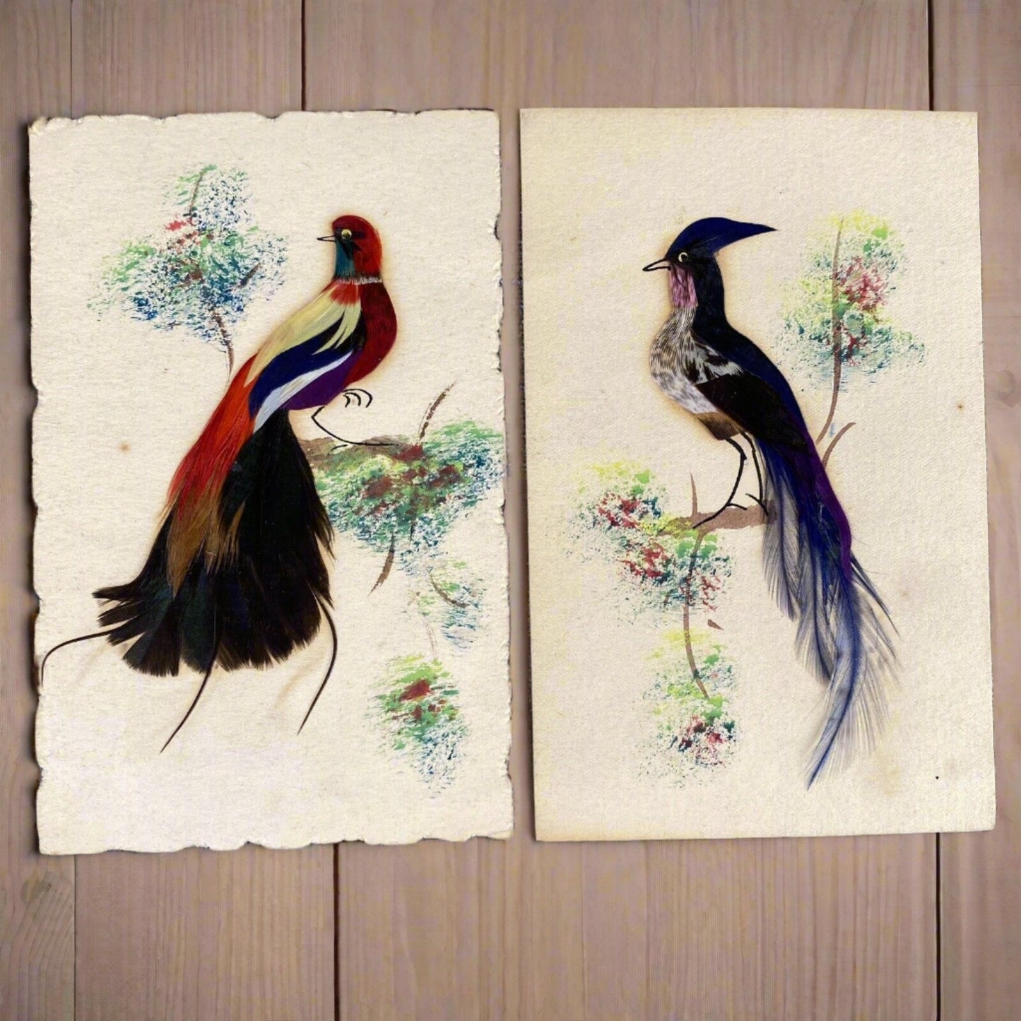 2 Handcrafted Bird Cards, Made/real Feathers, Mexico