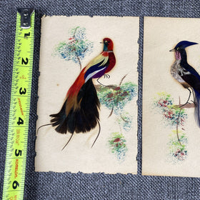2 Handcrafted Bird Cards, Made/real Feathers, Mexico