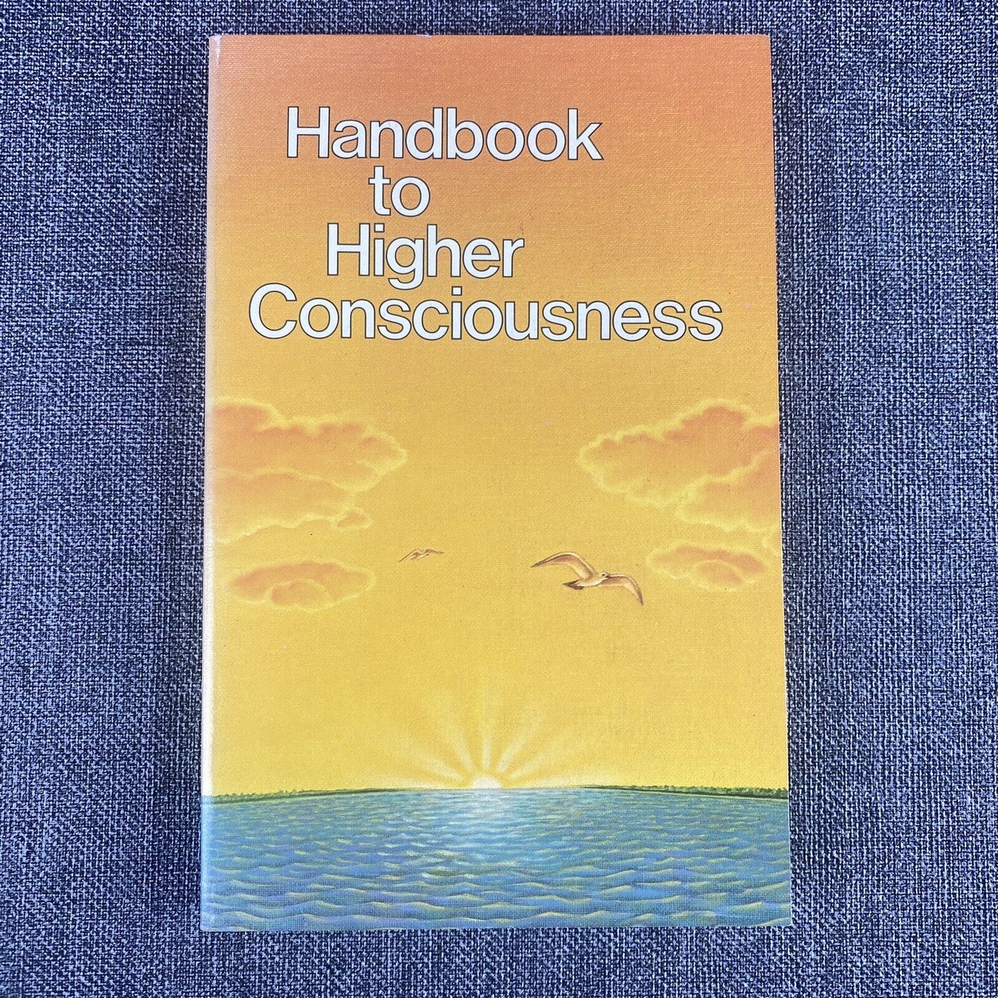 Handbook to Higher Consciousness - Ken Keyes, Jr. - 5th Edition Paperback