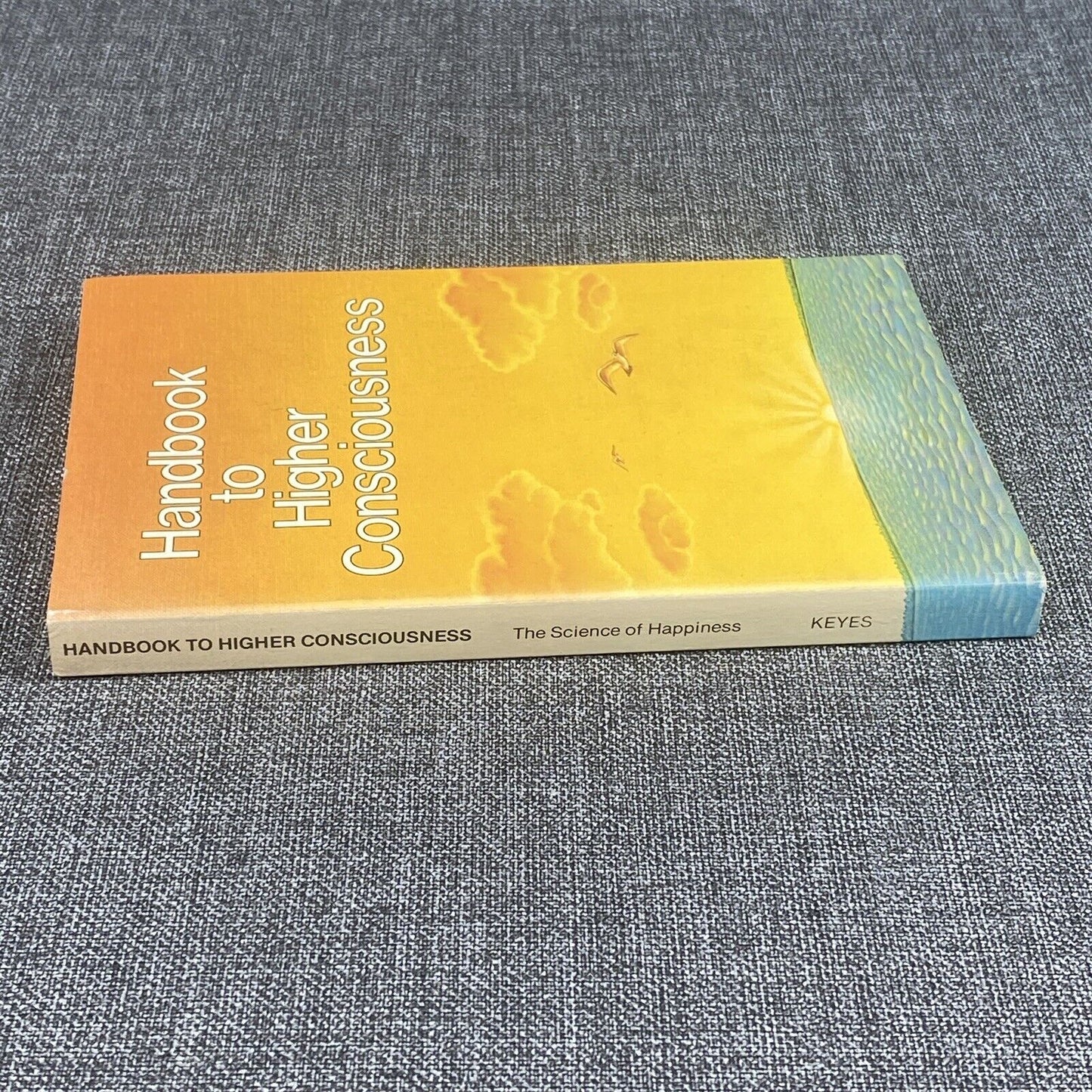 Handbook to Higher Consciousness - Ken Keyes, Jr. - 5th Edition Paperback