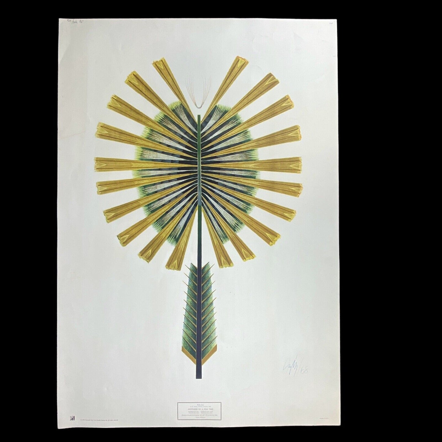 Vintage Philip AZIZ 'Apothesis of a Pine Tree' 1968 / 1976 NY Graphic Society LT