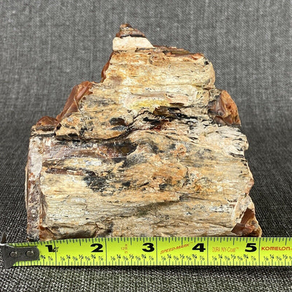 Petrified Wood 3 lbs beautiful color