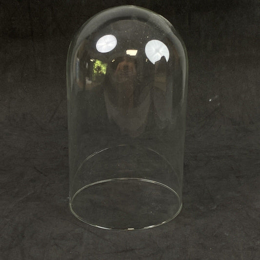 Glass Cloche Dome Display 8" X 4.5"