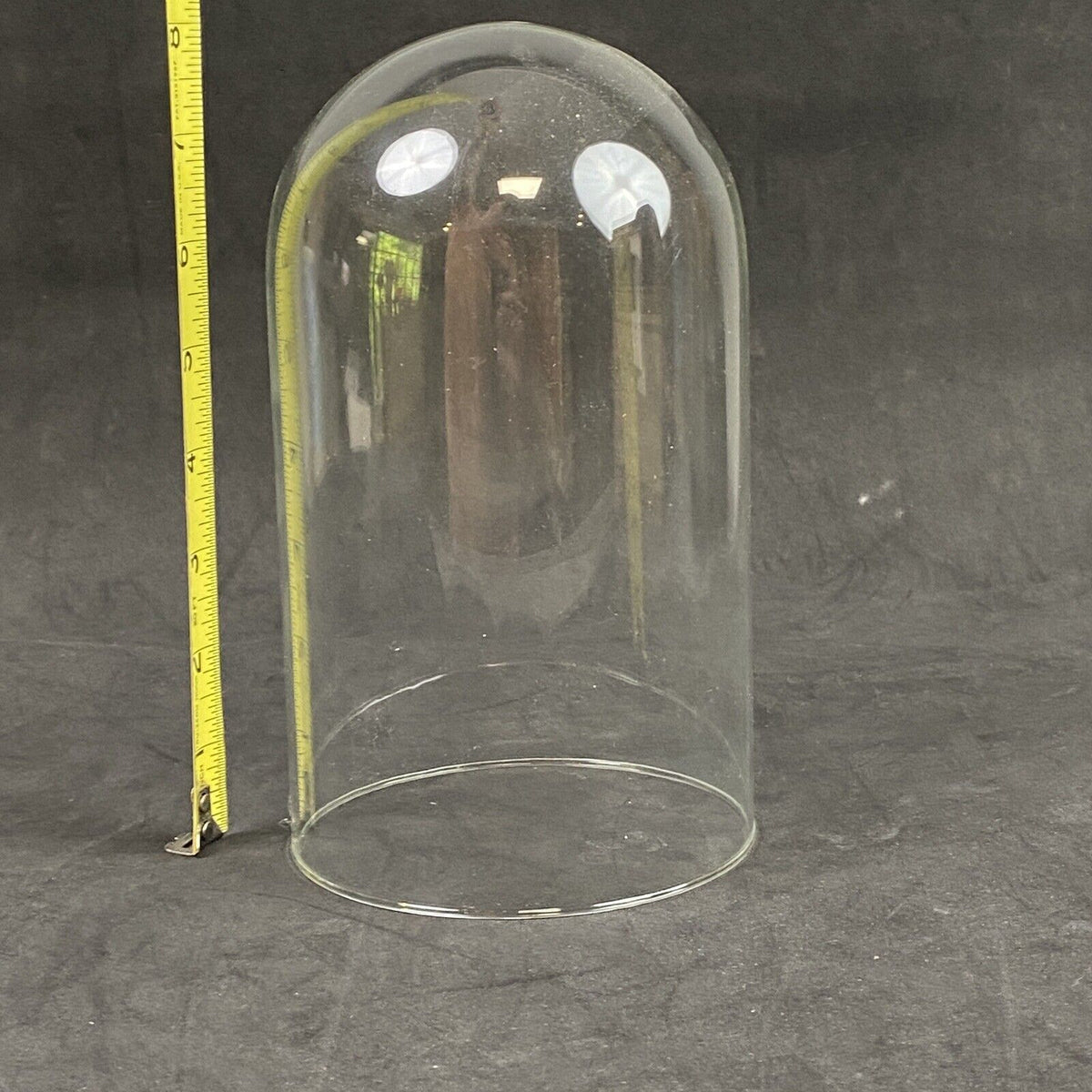 Glass Cloche Dome Display 8" X 4.5"