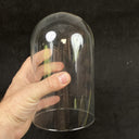 Glass Cloche Dome Display 8" X 4.5"