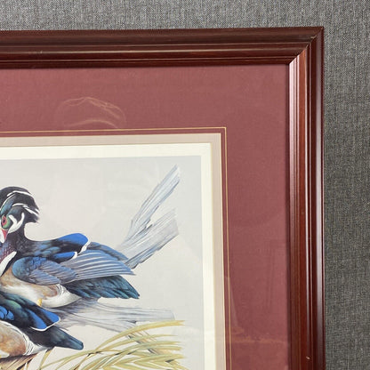 Carolina Beauties SC Ducks Unlimited Print of the Year by Art La May - SIGNED