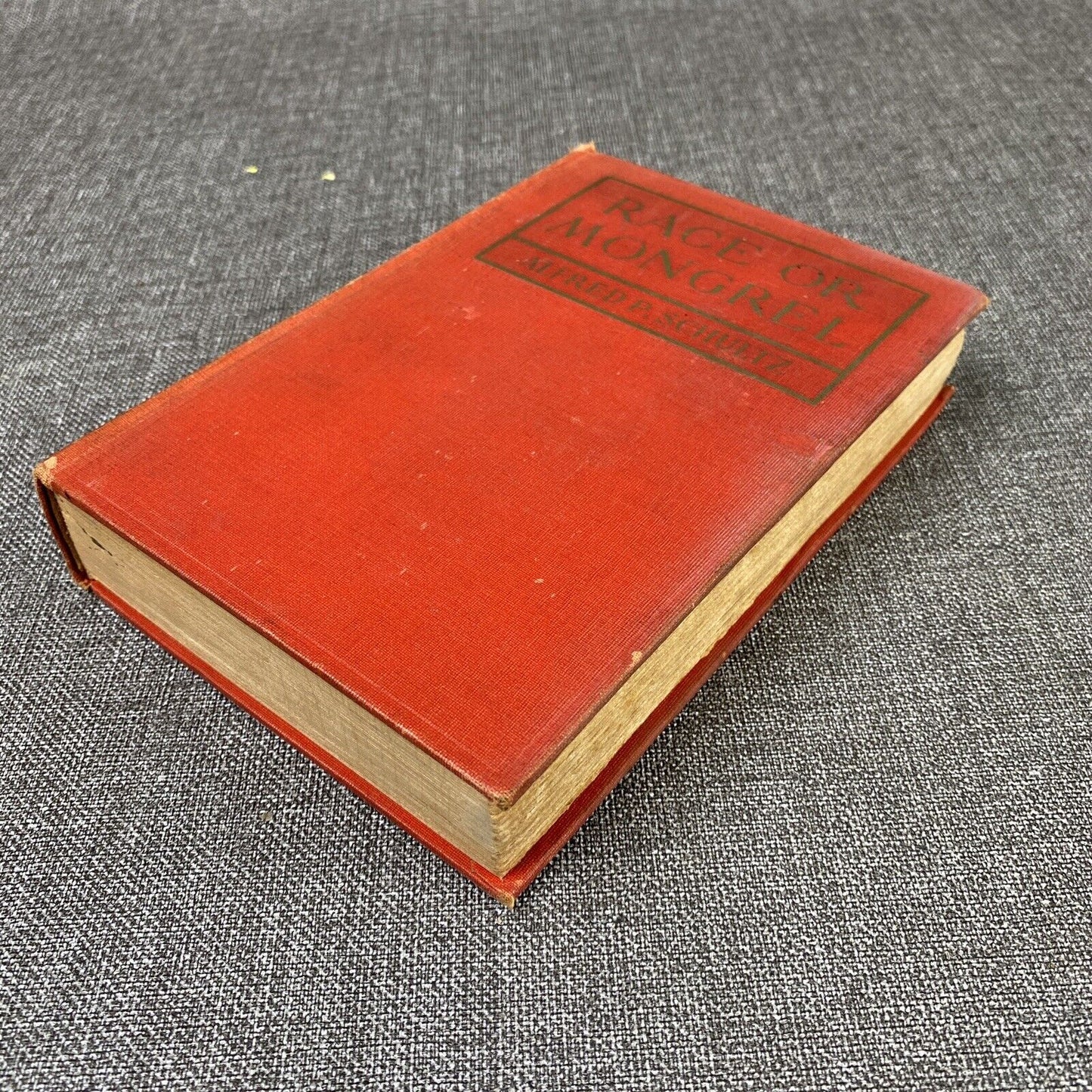 Race or Mongrel by Alfred P. Schultz 1908 , Antique Book