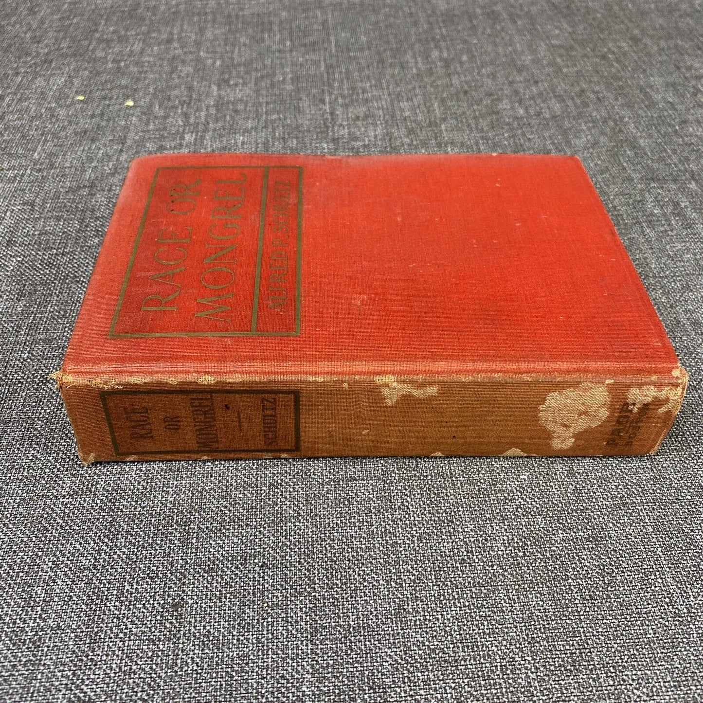 Race or Mongrel by Alfred P. Schultz 1908 , Antique Book