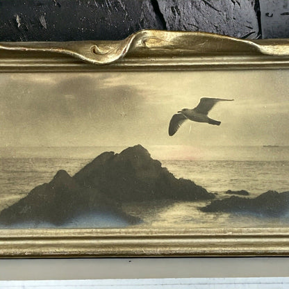 Antique Framed Art Seagull on the Coastline (Real Photos) - READ