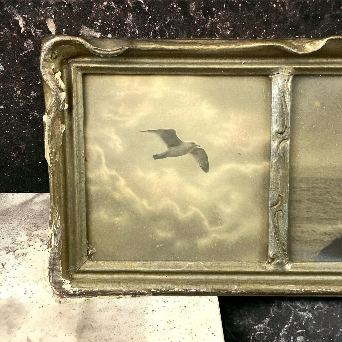 Antique Framed Art Seagull on the Coastline (Real Photos) - READ