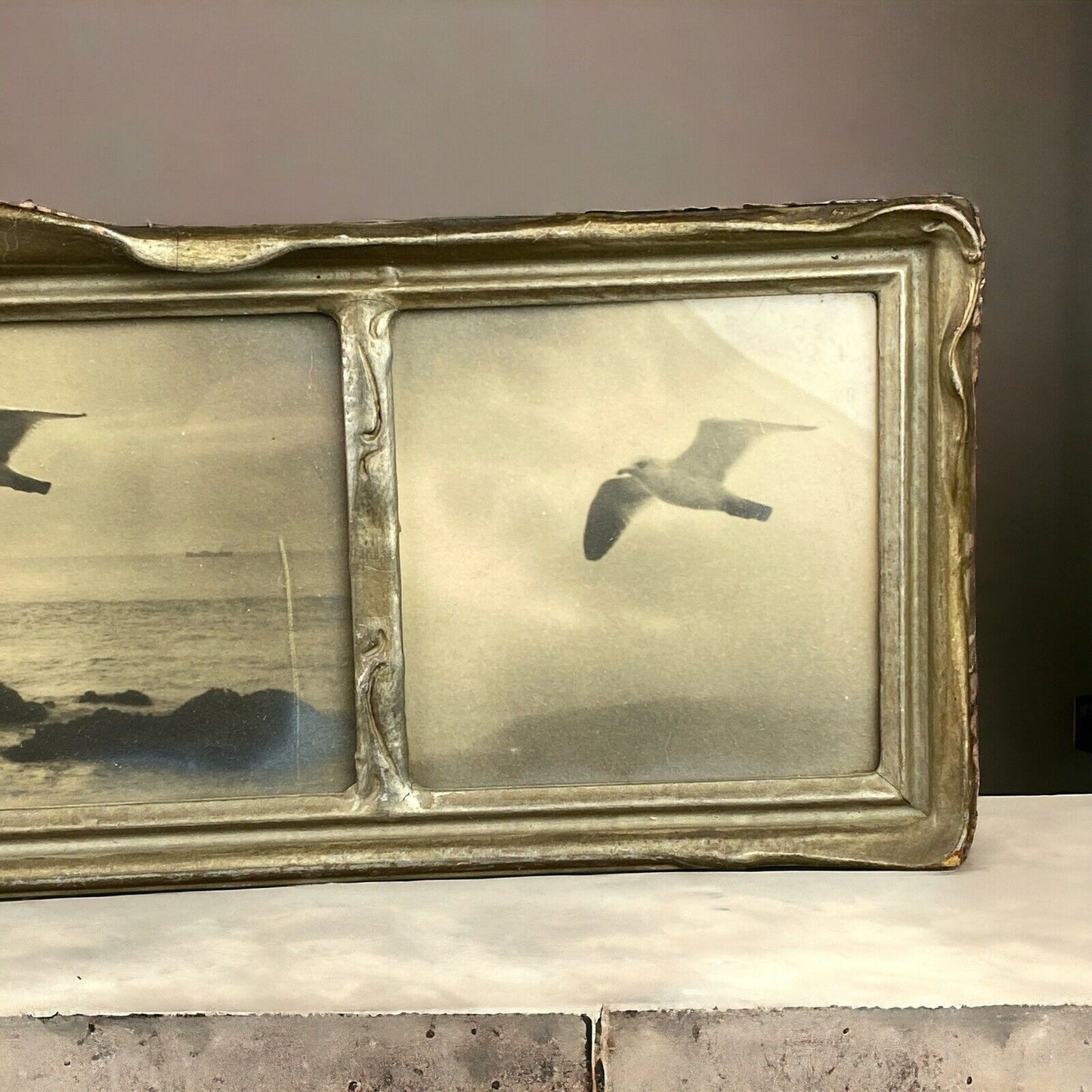 Antique Framed Art Seagull on the Coastline (Real Photos) - READ