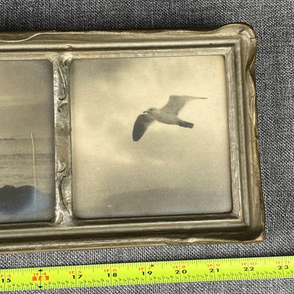 Antique Framed Art Seagull on the Coastline (Real Photos) - READ